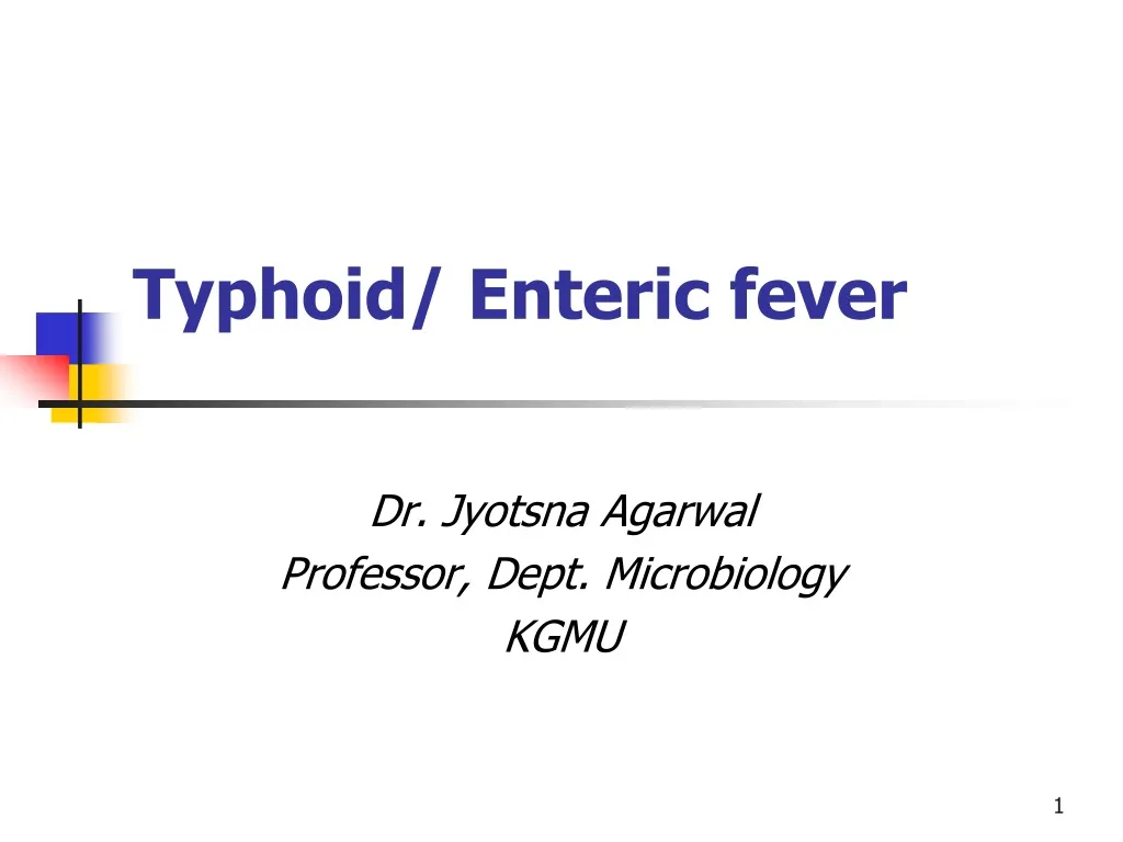 PPT - Typhoid/ Enteric fever PowerPoint Presentation, free download ...