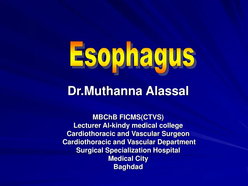 esophagus n.