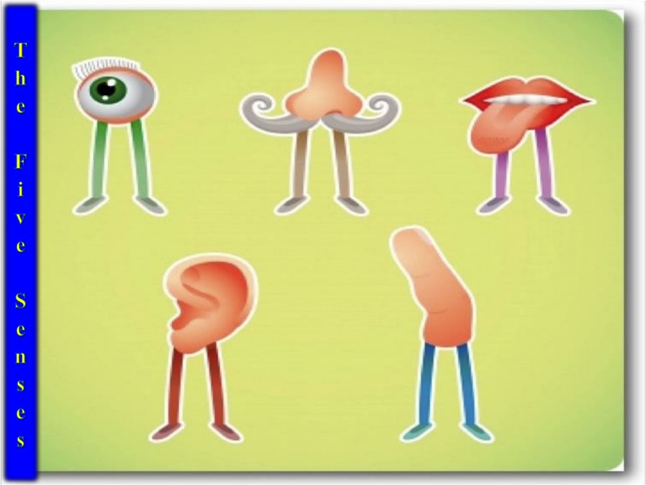 Нос и головной мозг. The Five senses ppt. 6th sense Organs. Senses ppt game for Kids.