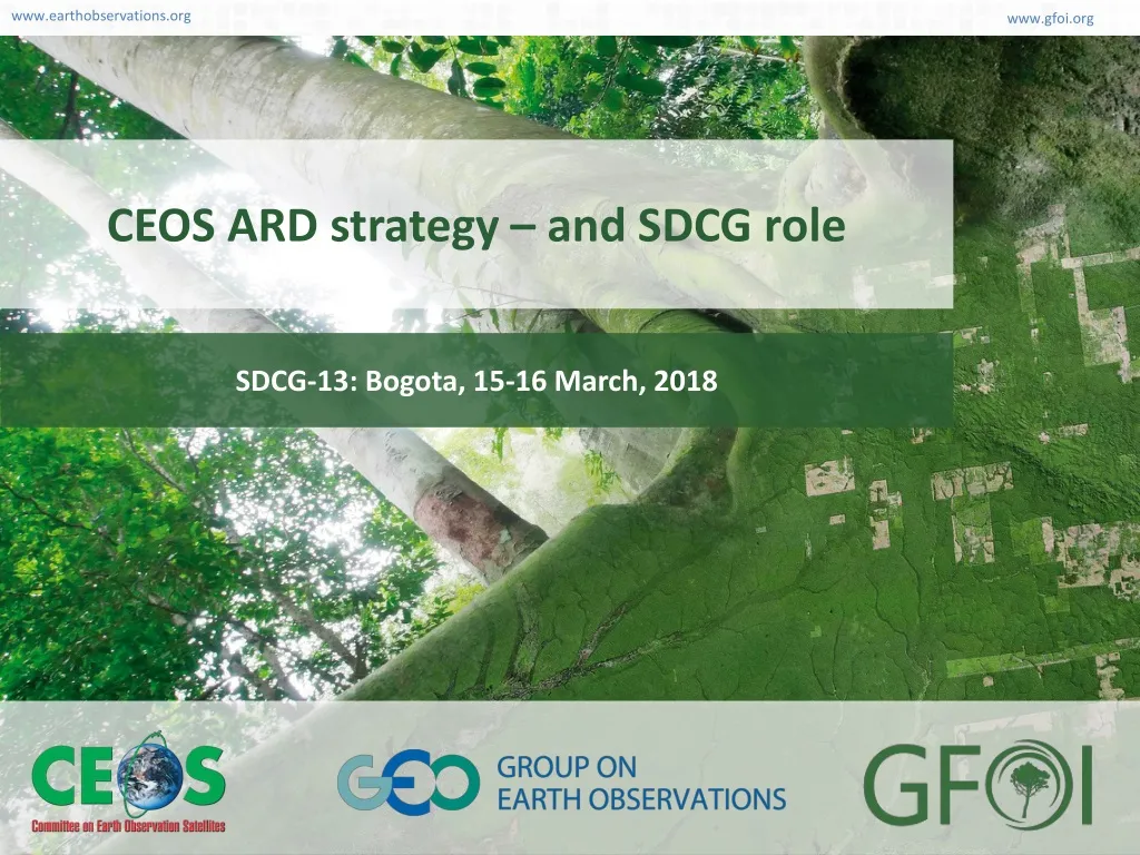 ceos ard strategy and sdcg role n.