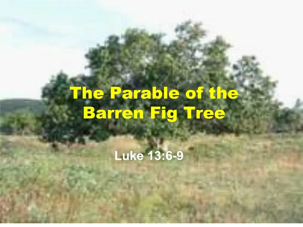 Ppt The Parable Of The Barren Fig Tree Powerpoint Presentation Free Download Id 206658