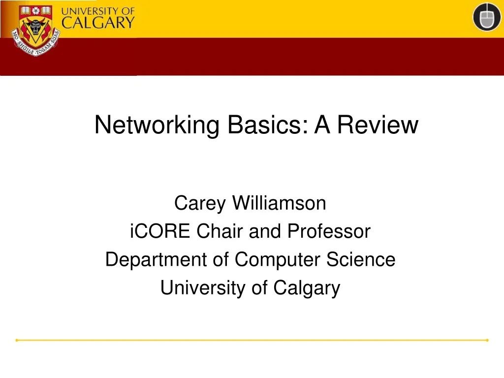networking basics a review n.