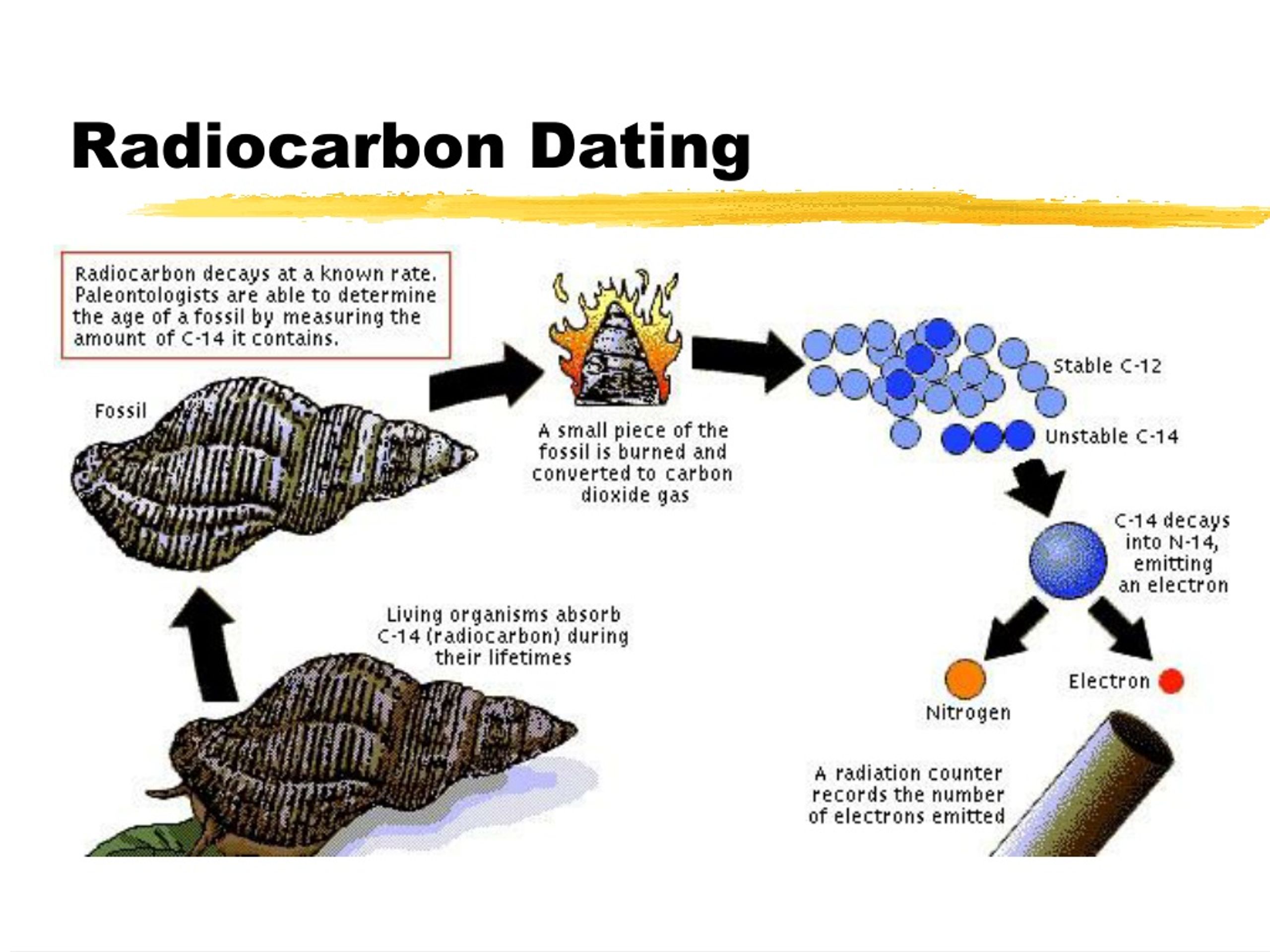 what is radiocarbon dating definition