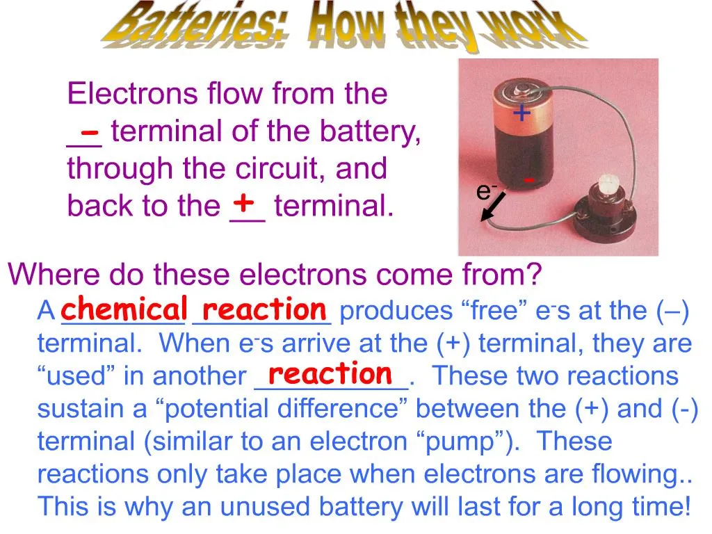 PPT - Electrons flow from the __ terminal of the battery, through the