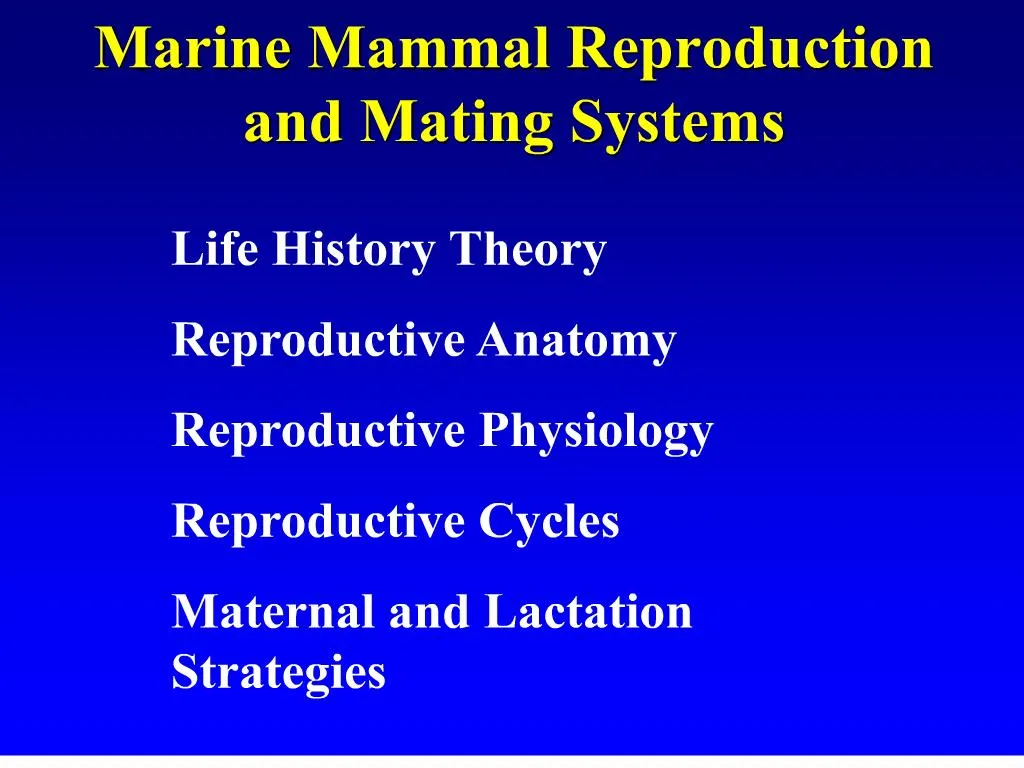 PPT - Marine Mammal Reproduction and Mating Systems PowerPoint