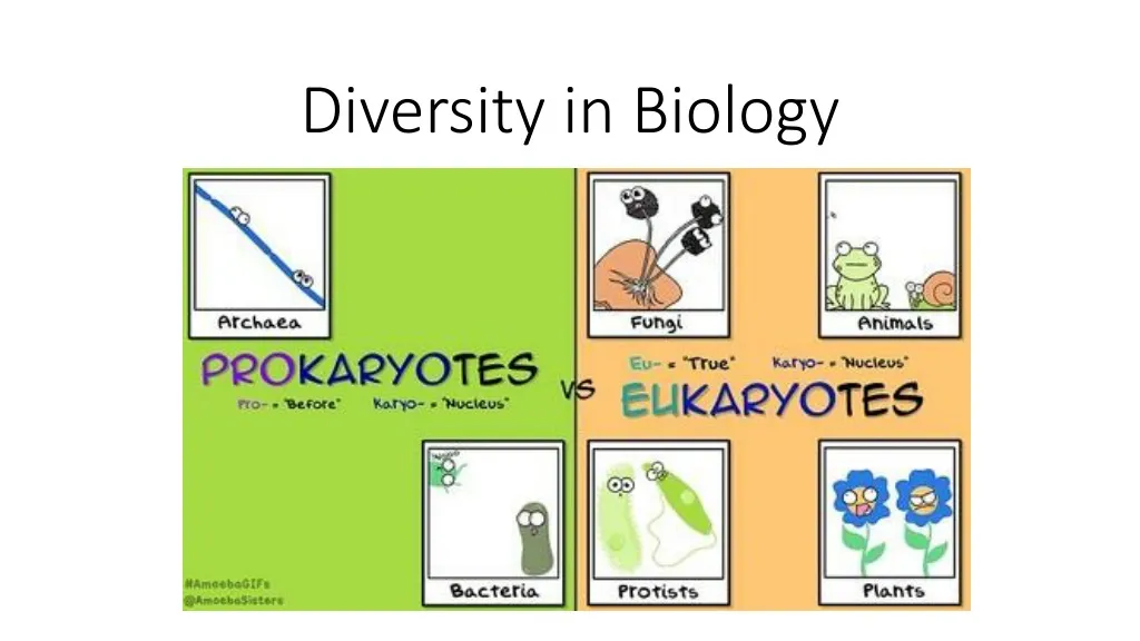 ppt-diversity-in-biology-powerpoint-presentation-free-download-id