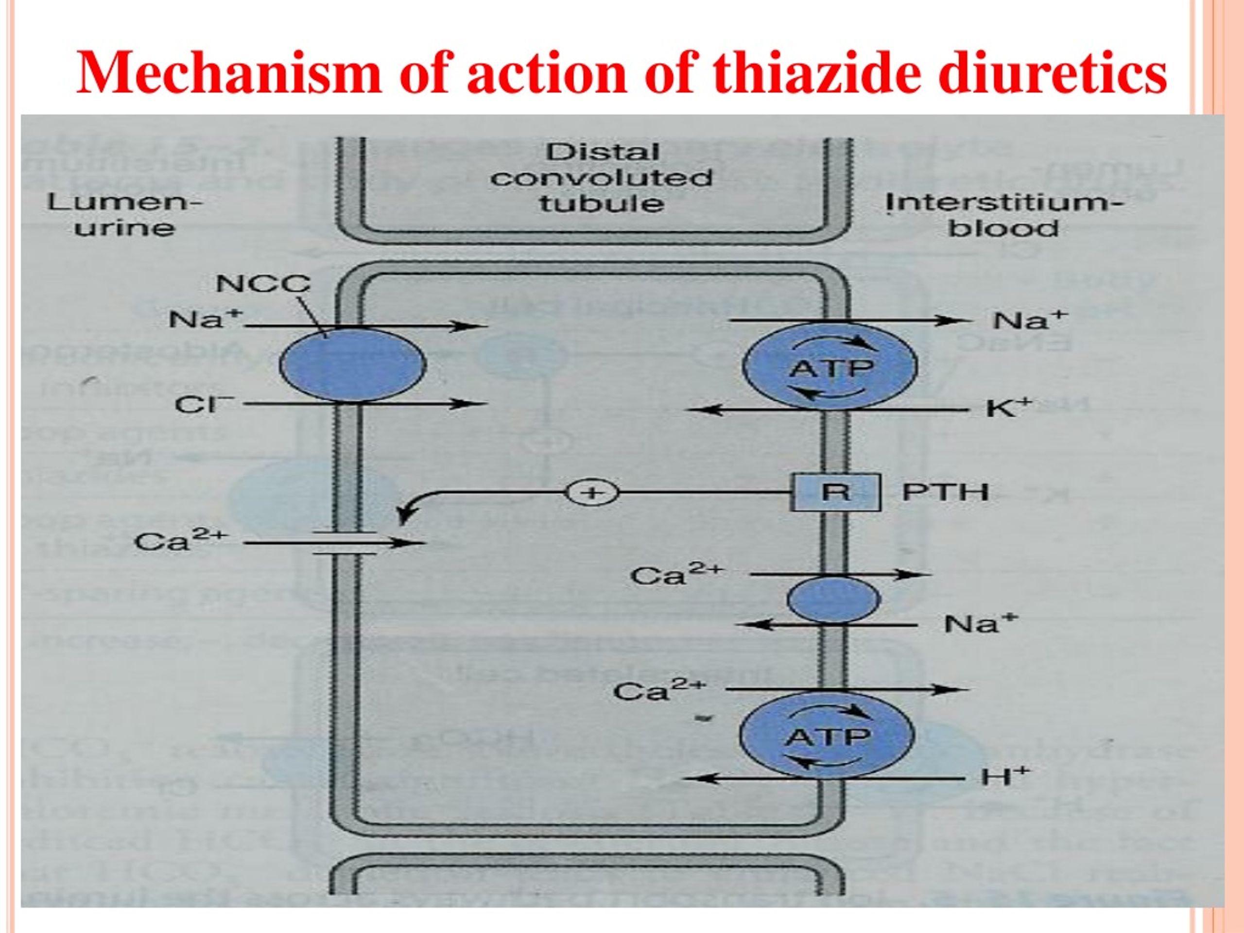 Mechanism of action. Diuretics mechanism of Action. Thiazide diuretics. Thiazide mechanism of Action. Mechanism of Action of loop diuretics.