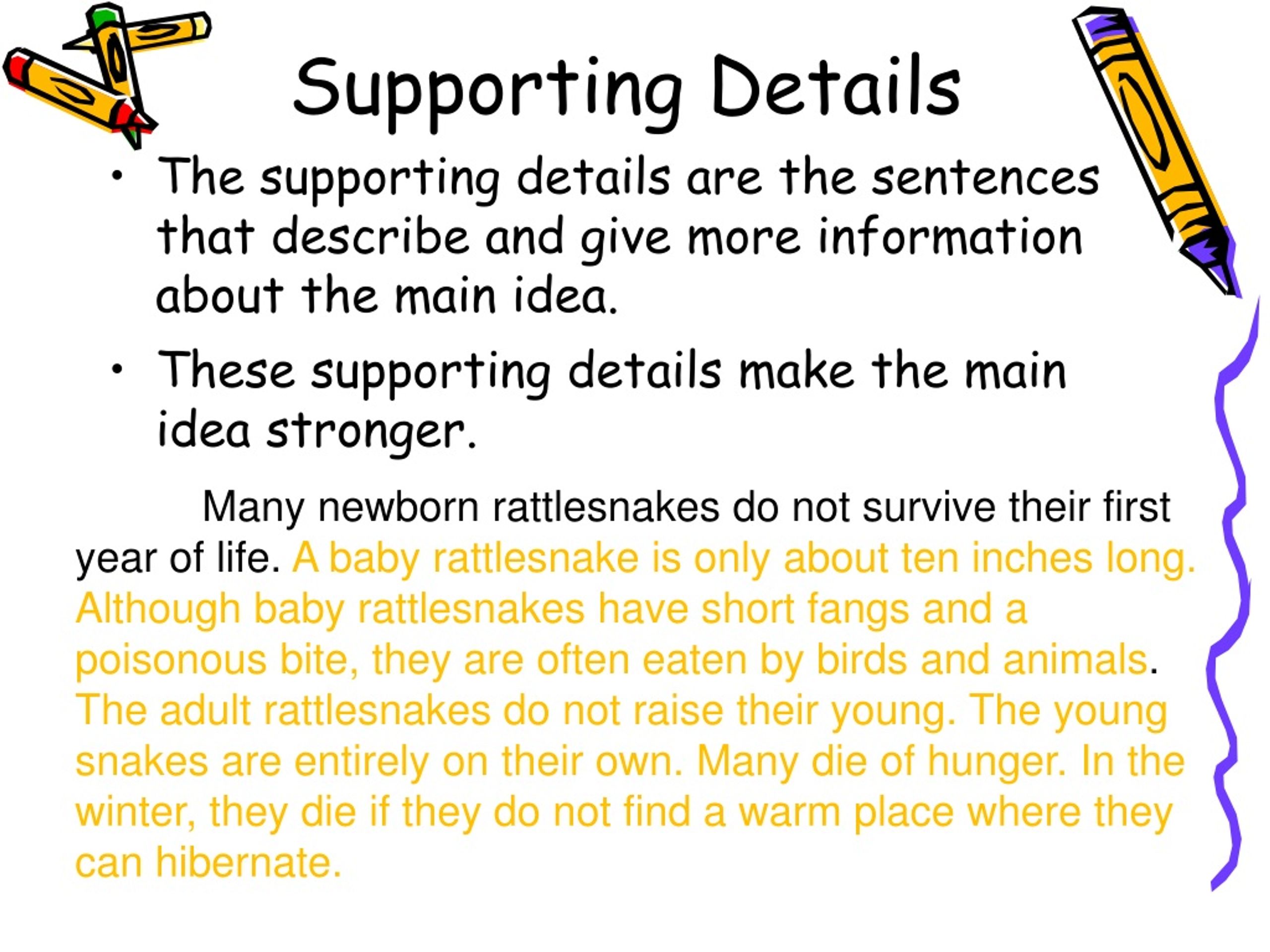 supporting detail essay meaning