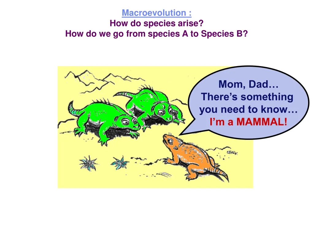 macroevolution how do species arise n.