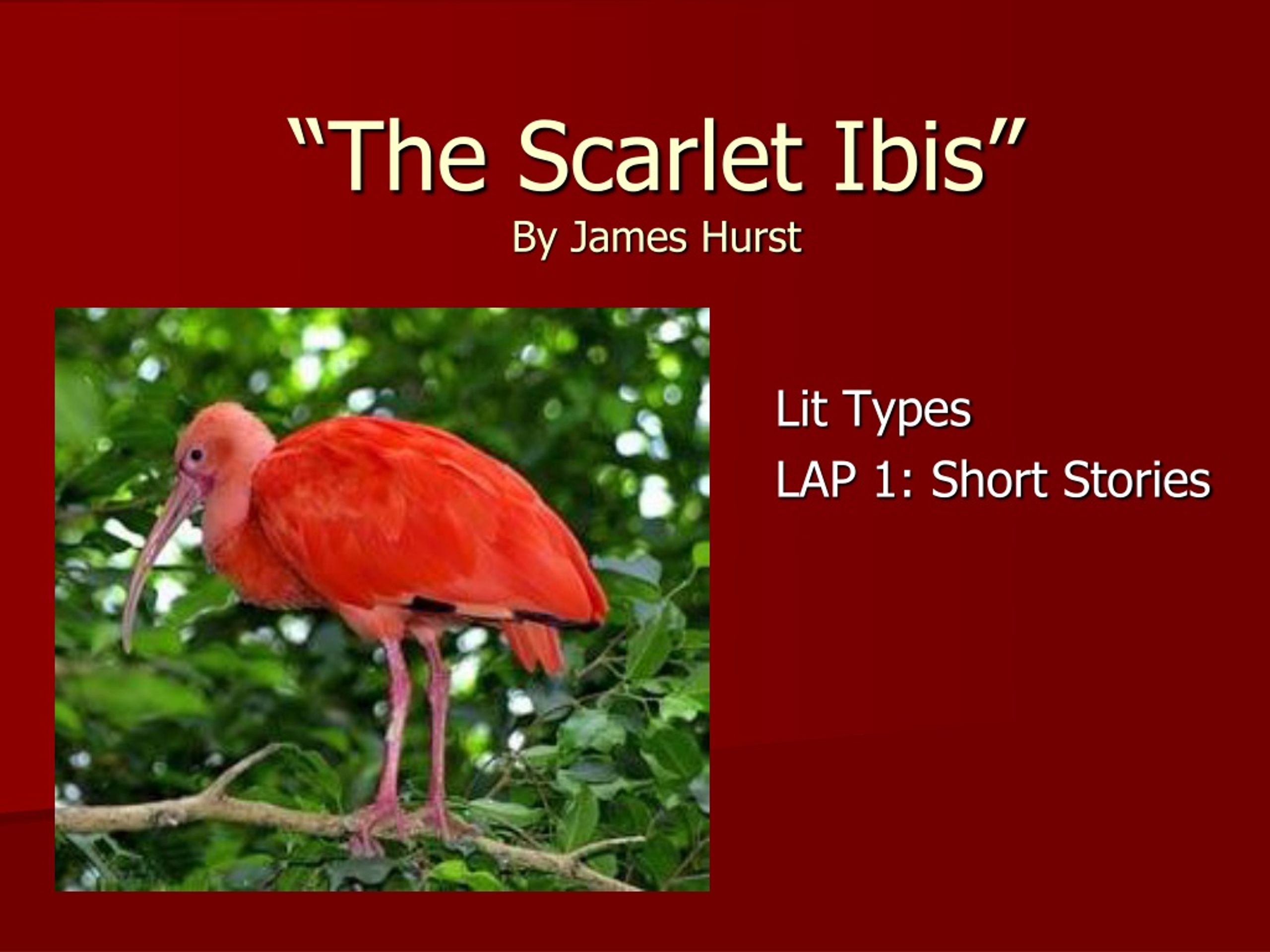 scarlet ibis story essay