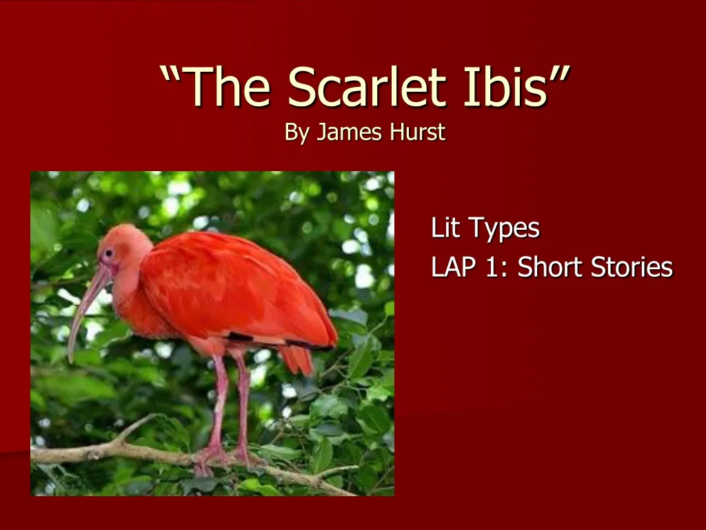 the scarlet ibis by james hurst n.