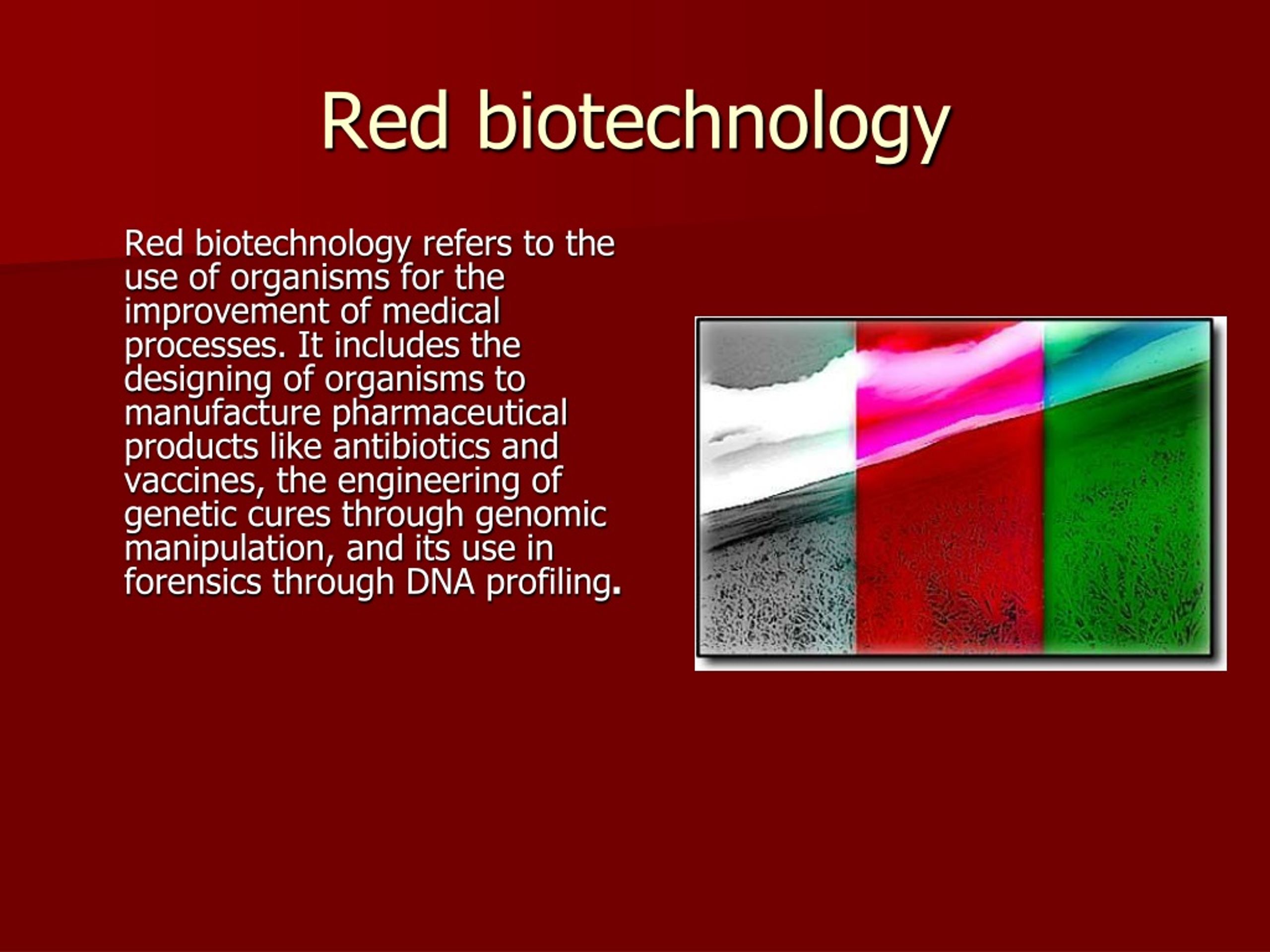 PPT BIOTECHNOLOGY PowerPoint Presentation, free download ID217396