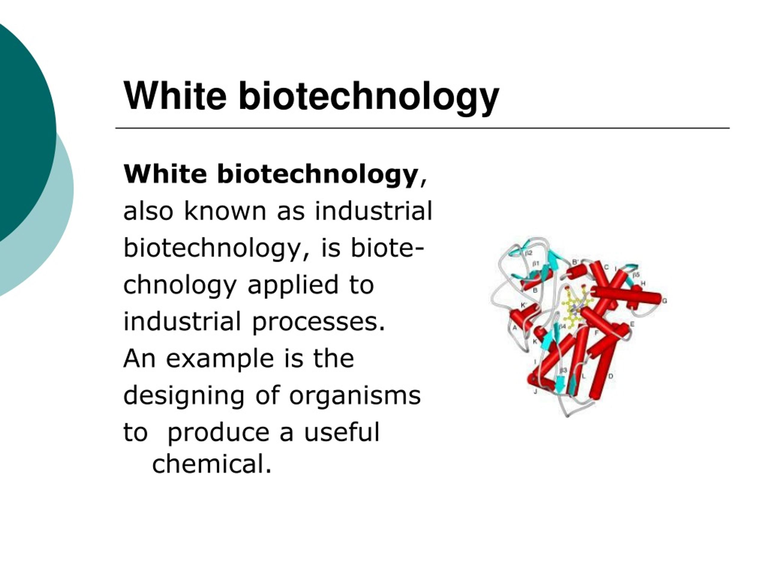 PPT BIOTECHNOLOGY PowerPoint Presentation, free download ID217396