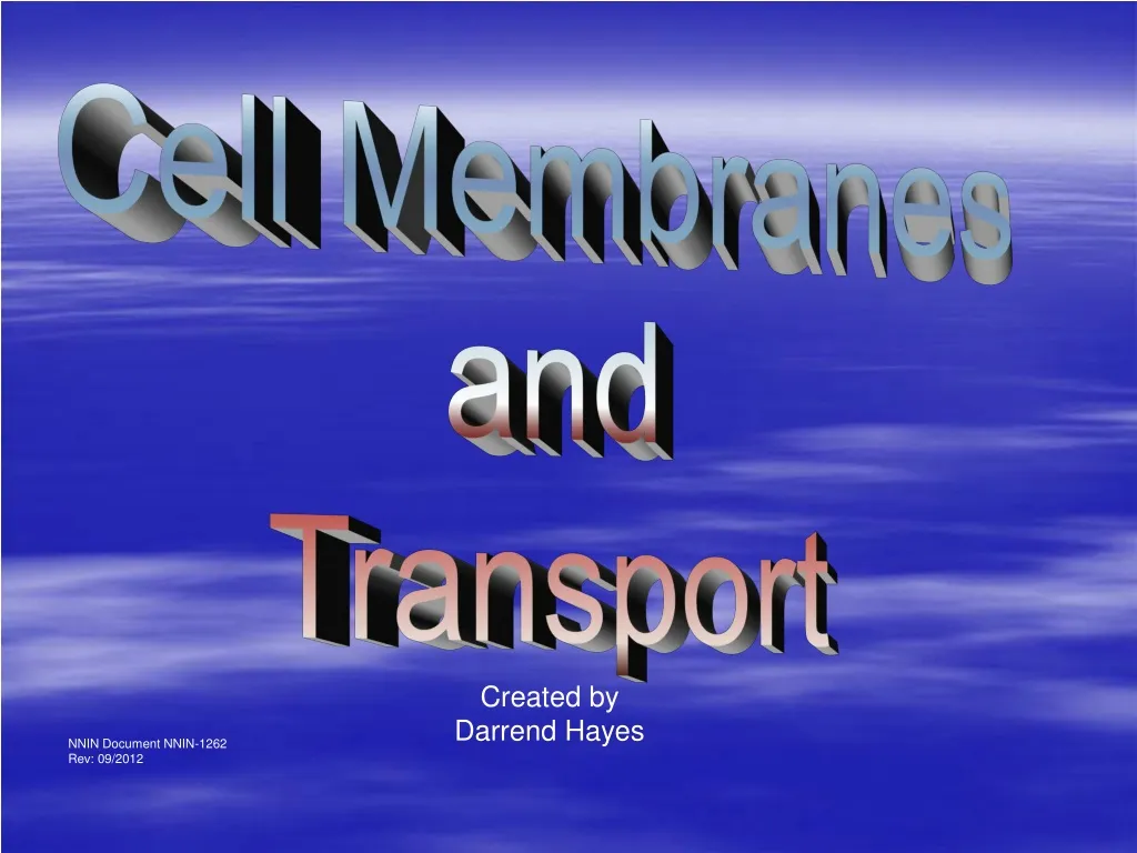 cell membranes and transport n.