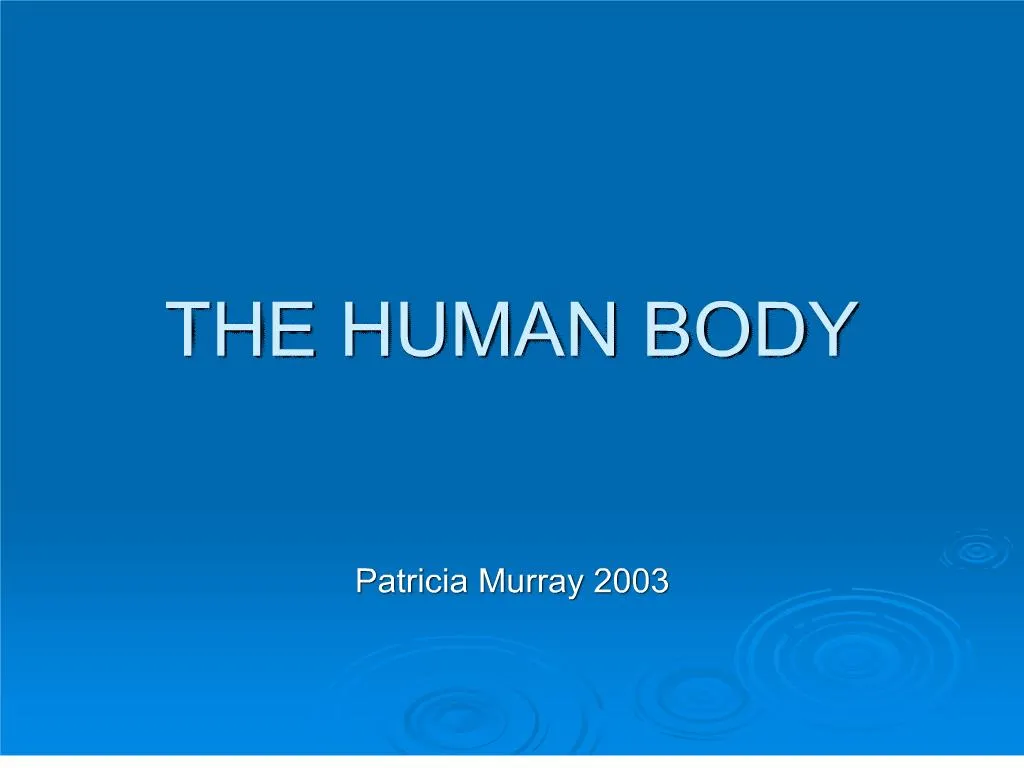 ppt-the-human-body-powerpoint-presentation-free-download-id-218293