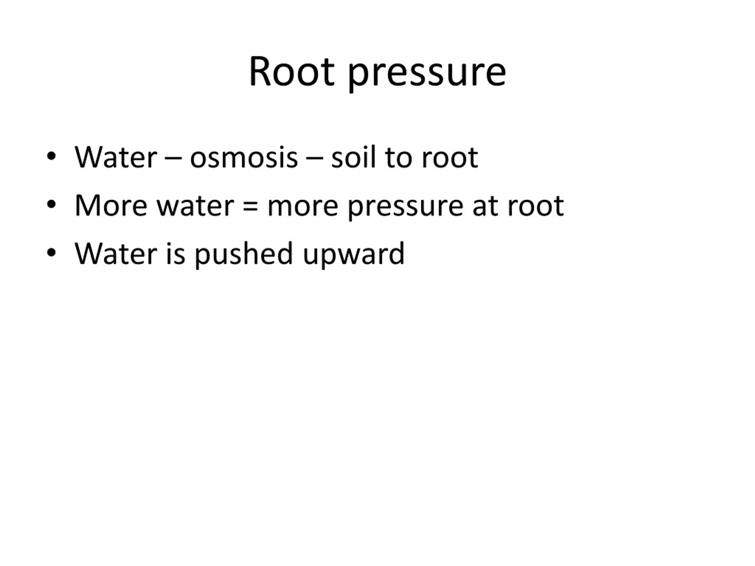 ppt-chapter-33-stems-and-plant-transport-chapter-34-roots