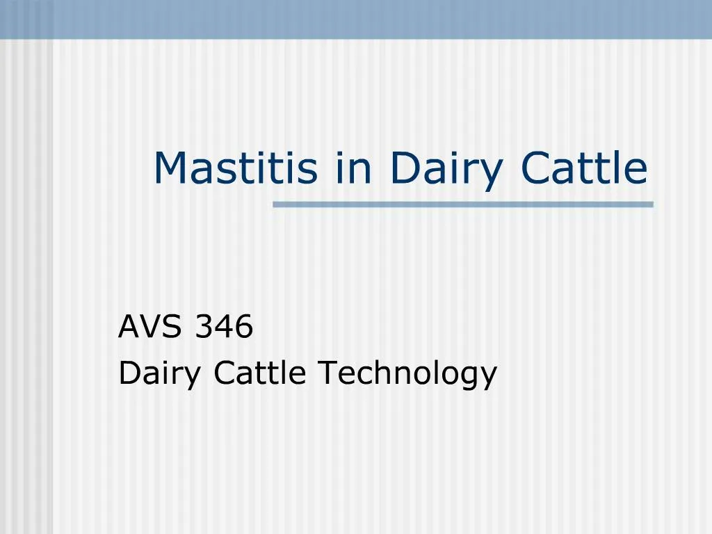 PPT Mastitis in Dairy Cattle PowerPoint Presentation, free download
