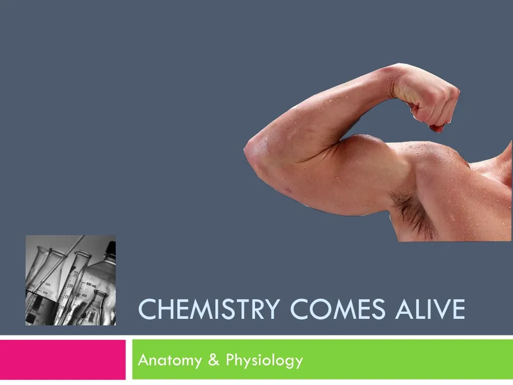 chemistry comes alive n.