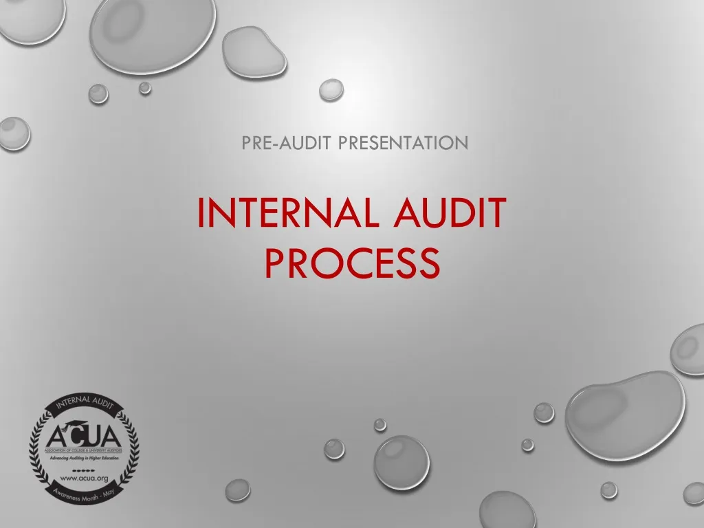 internal audit process n.