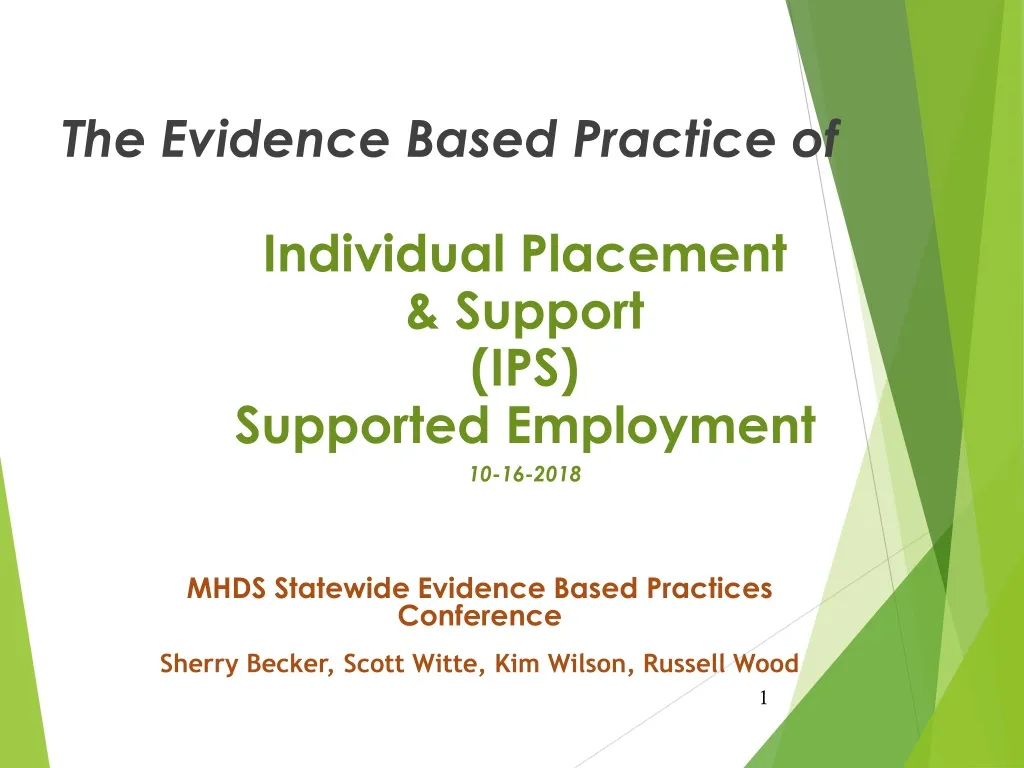 the evidence based practice of individual n.