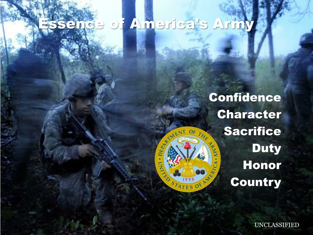 essence of america s army n.