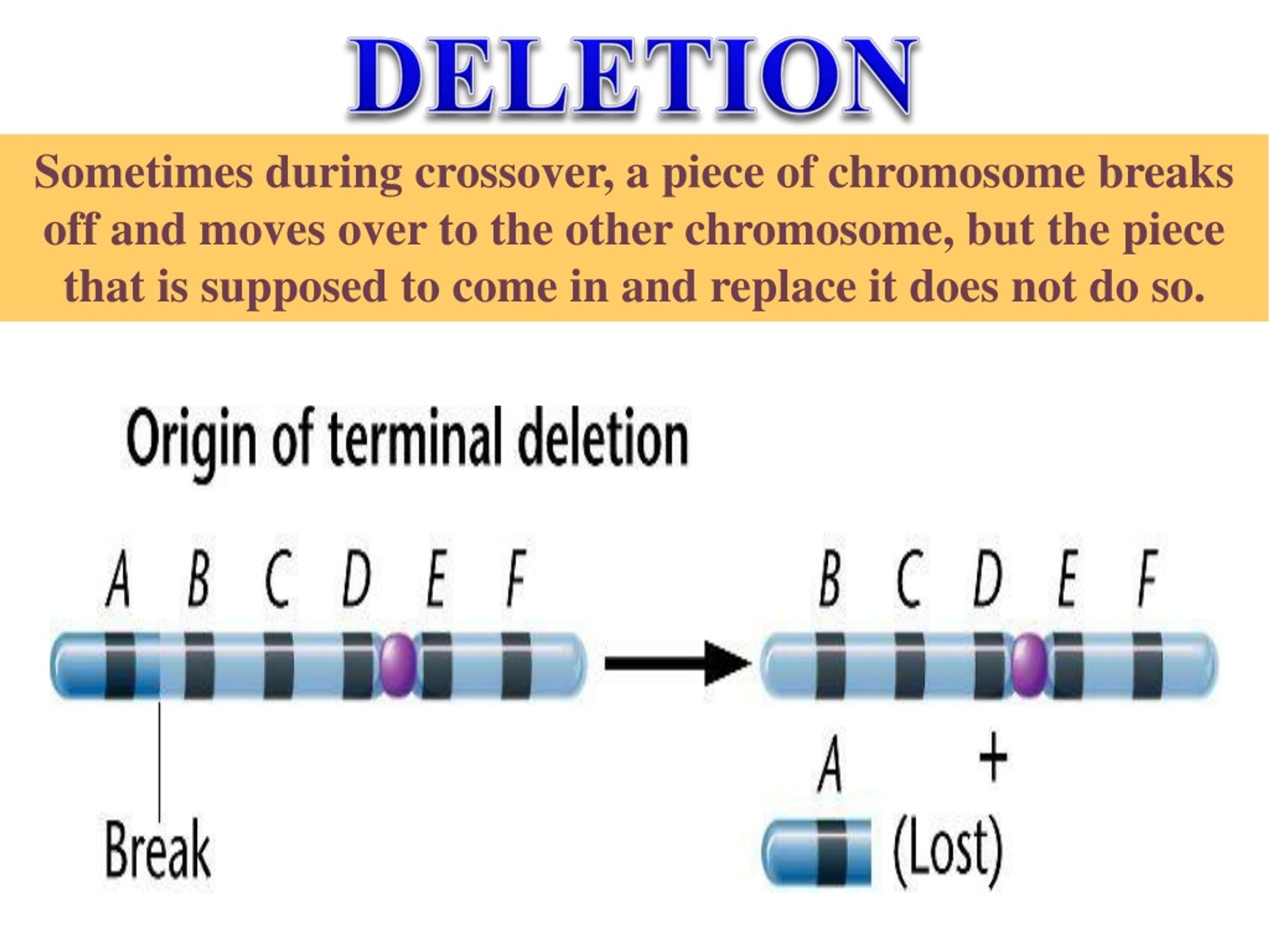 ppt-dna-mutations-powerpoint-presentation-free-download-id-237113