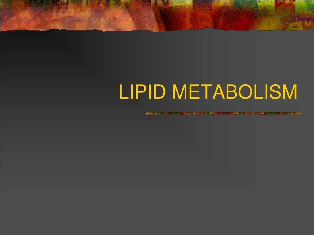 lipid metabolism n.