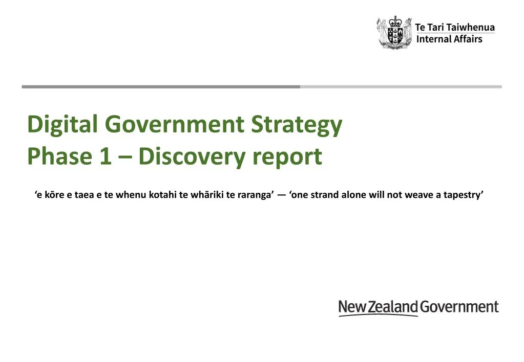 digital government strategy phase 1 discovery n.