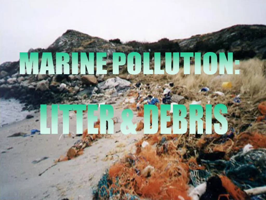 case study on marine pollution in india ppt