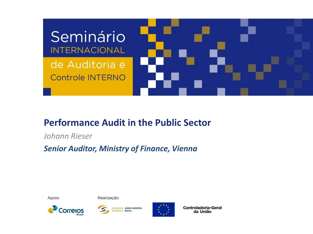 performance audit in the public sector johann n.
