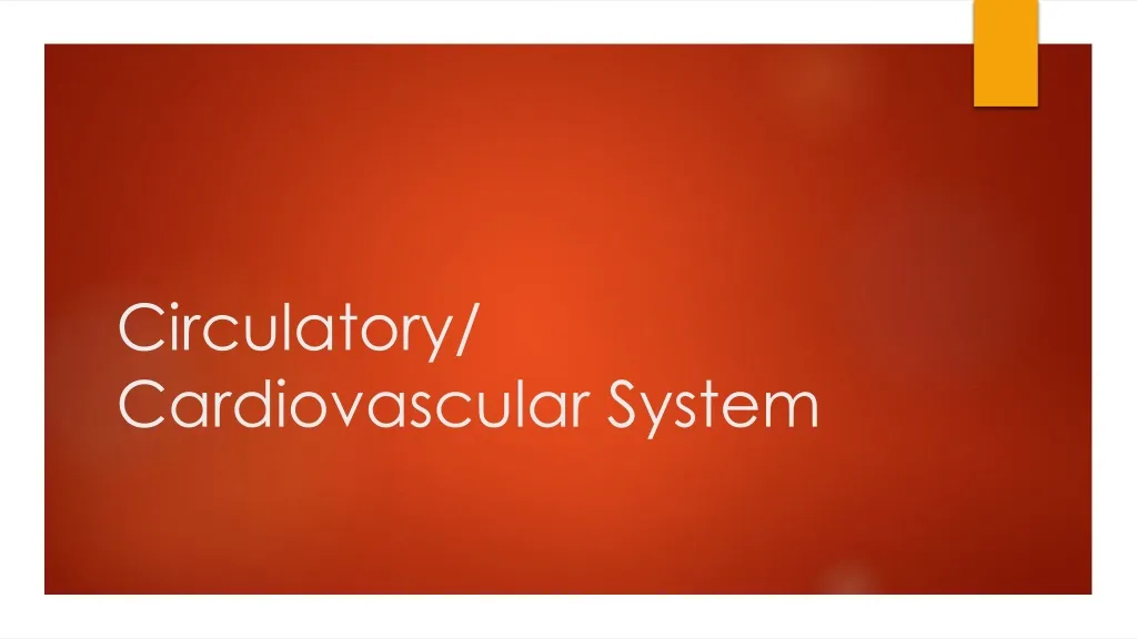 circulatory cardiovascular system n.