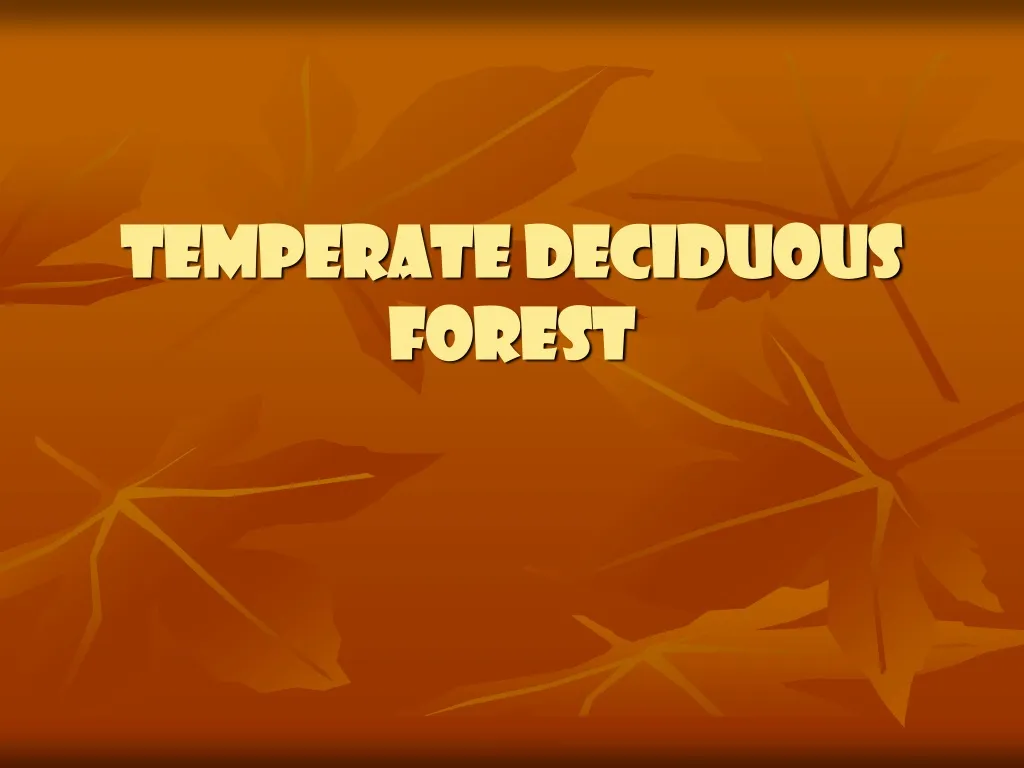 Ppt Temperate Deciduous Forest Powerpoint Presentation Free Download Id243454 6213