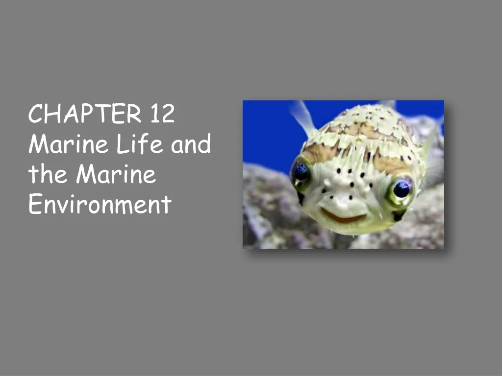 chapter 12 marine life and the marine environment n.