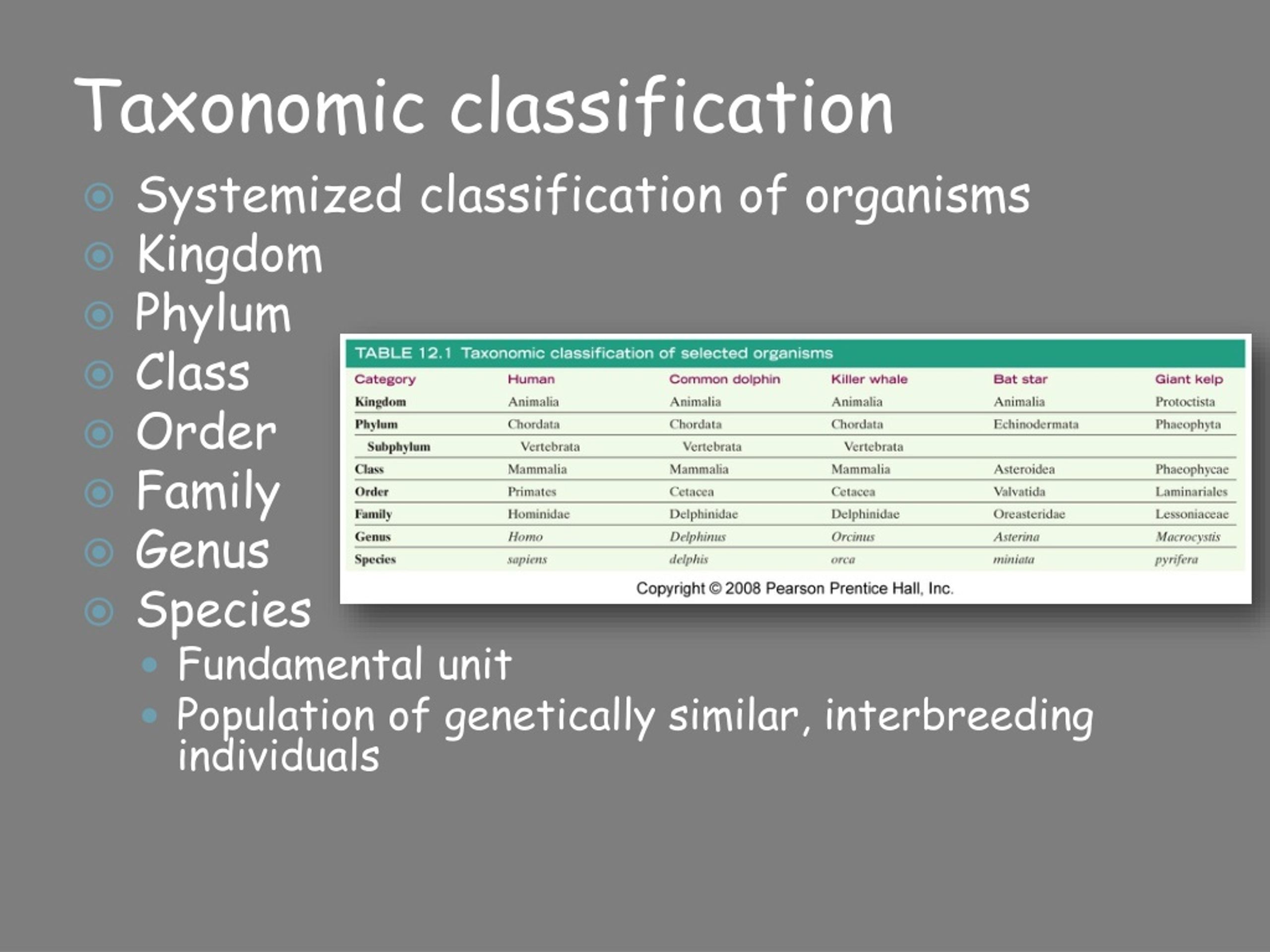 PPT - CHAPTER 12 Marine Life and the Marine Environment PowerPoint ...