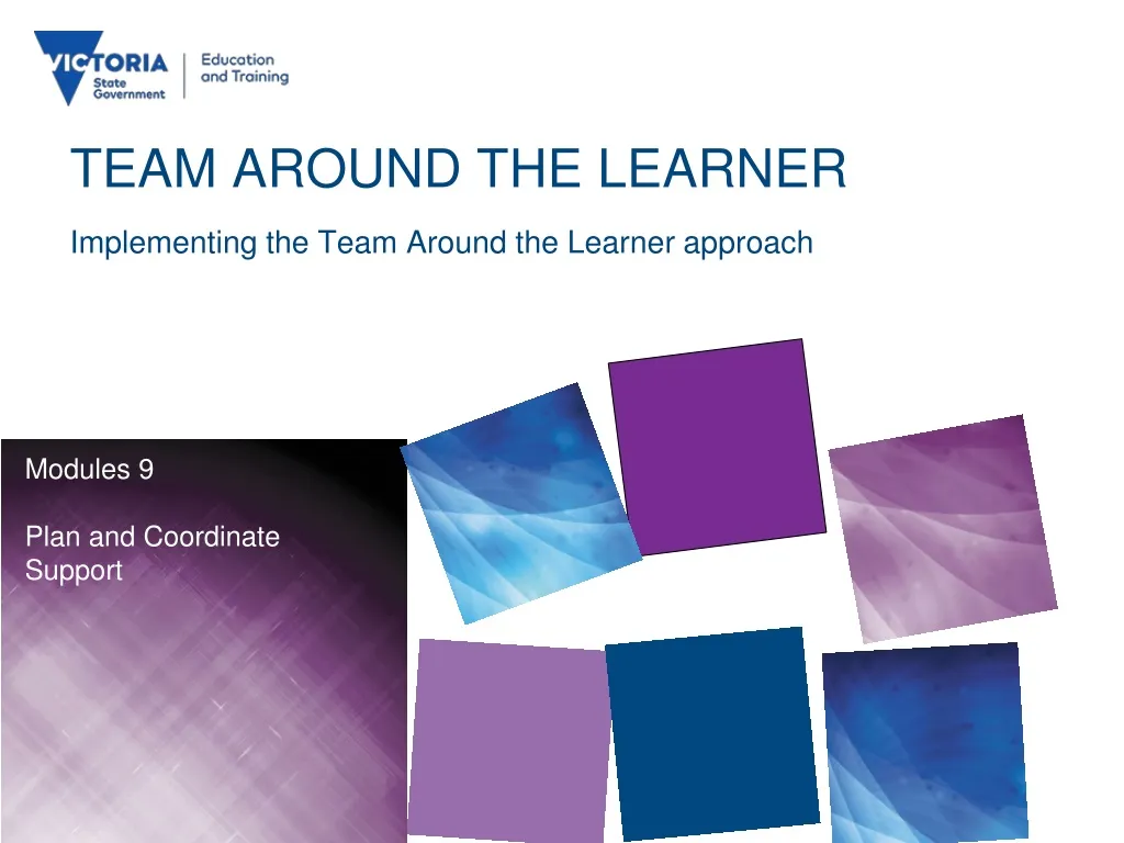 team around the learner implementing the team around the learner approach n.