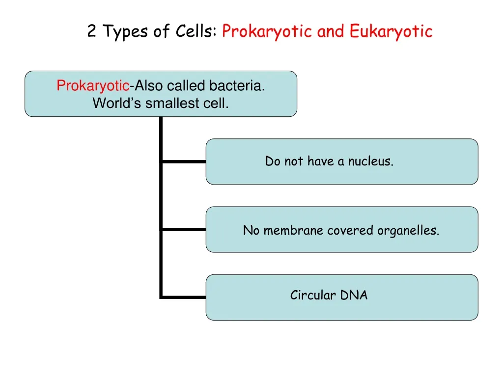 2 types of cells prokaryotic and eukaryotic n.