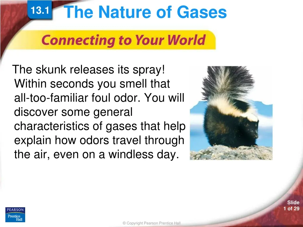 the nature of gases n.