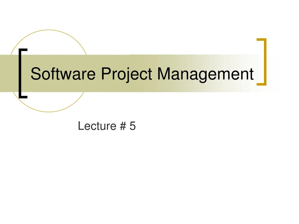 software project management n.