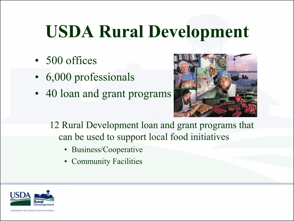 usda rural development n.