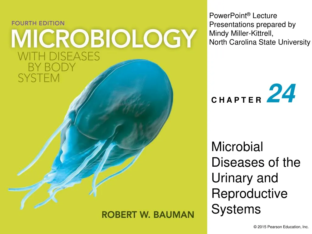 microbial diseases of the urinary and reproductive systems n.
