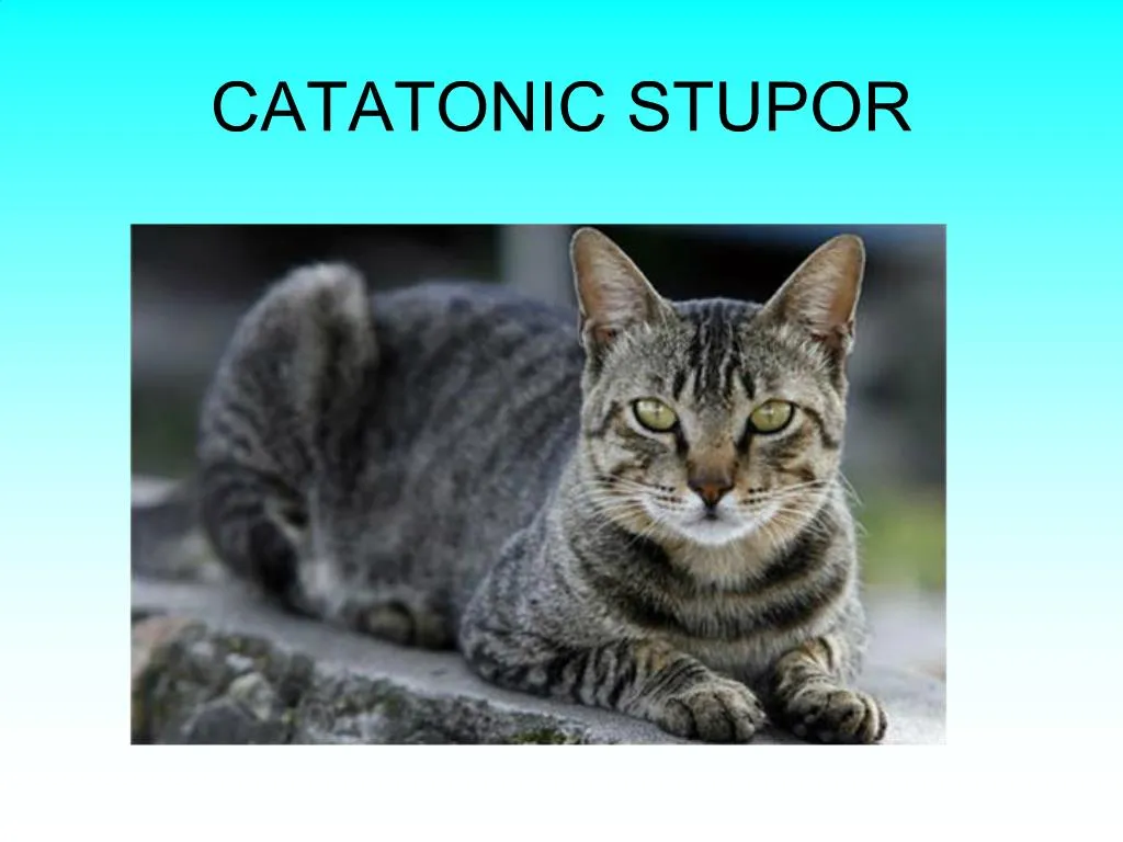 ppt-catatonic-stupor-powerpoint-presentation-free-download-id-249667