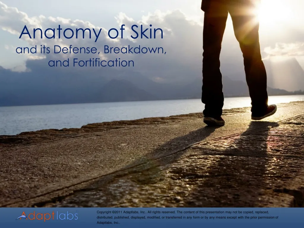 anatomy of skin and its defense breakdown and fortification n.