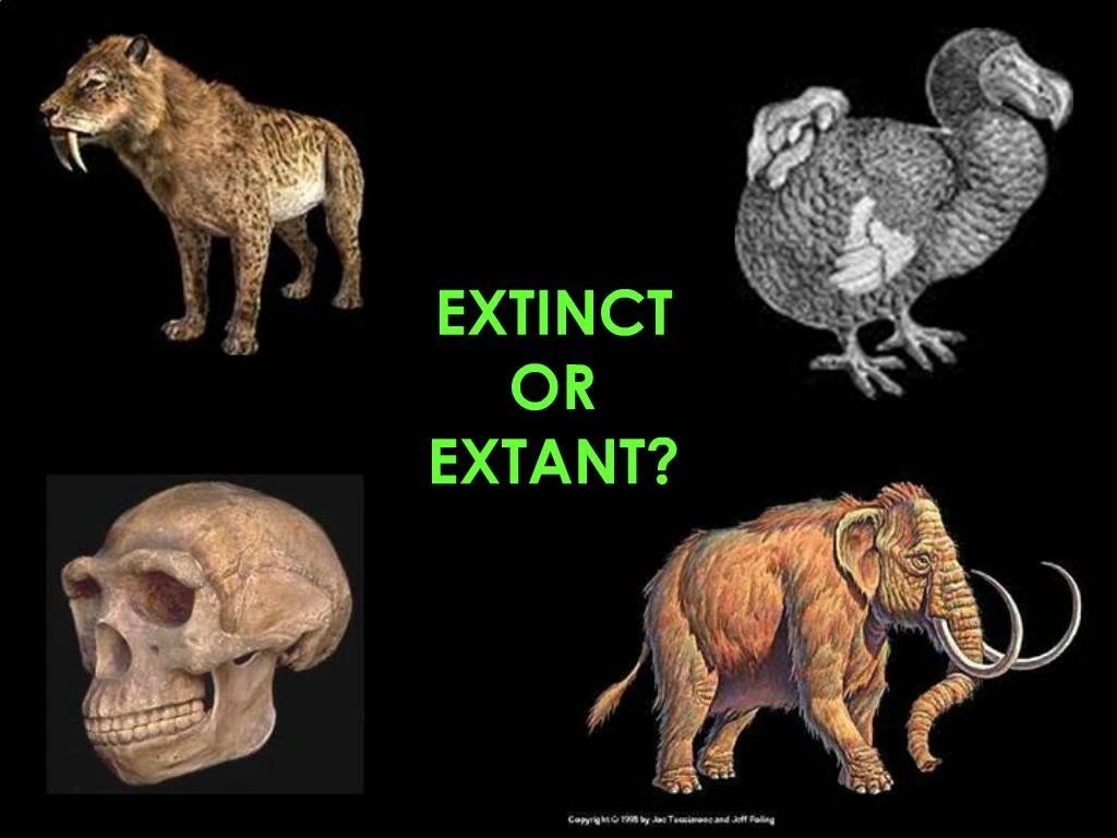 PPT - EXTINCT OR EXTANT PowerPoint Presentation, free download - ID:253829