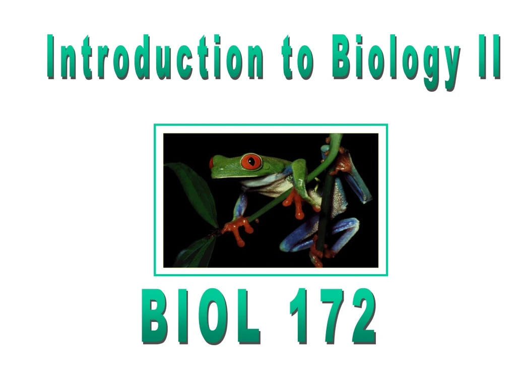 introduction to biology ii n.