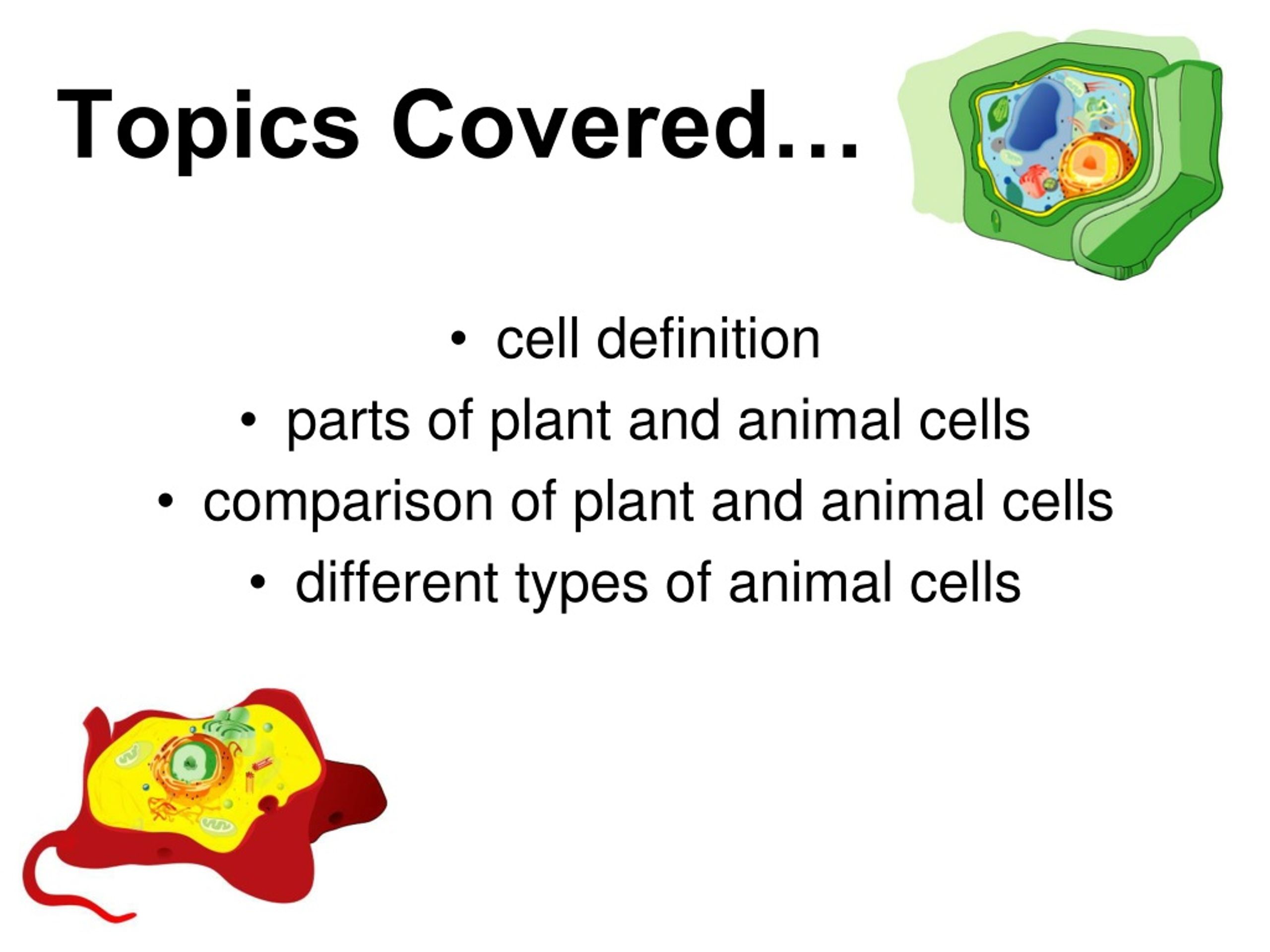 PPT - Plant and Animal Cells PowerPoint Presentation, free download -  ID:257403