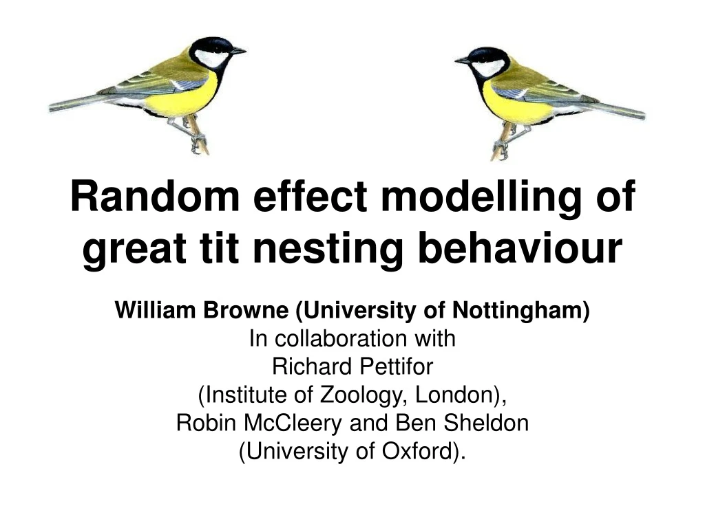 random effect modelling of great tit nesting behaviour n.