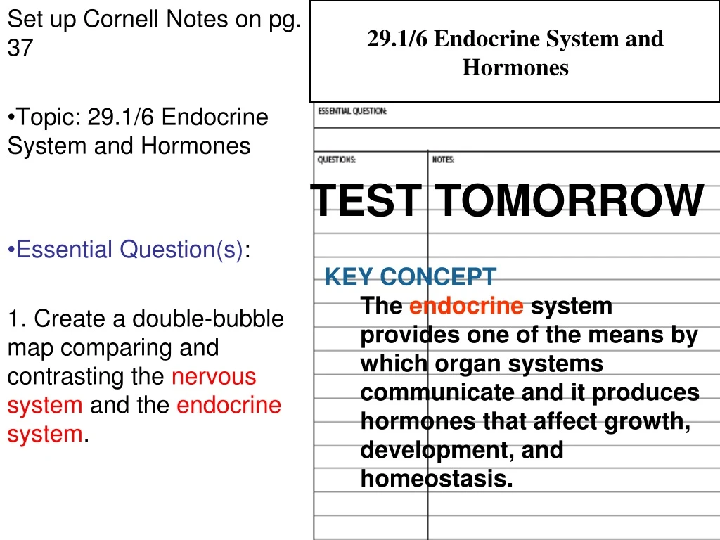 29 1 6 endocrine system and hormones n.