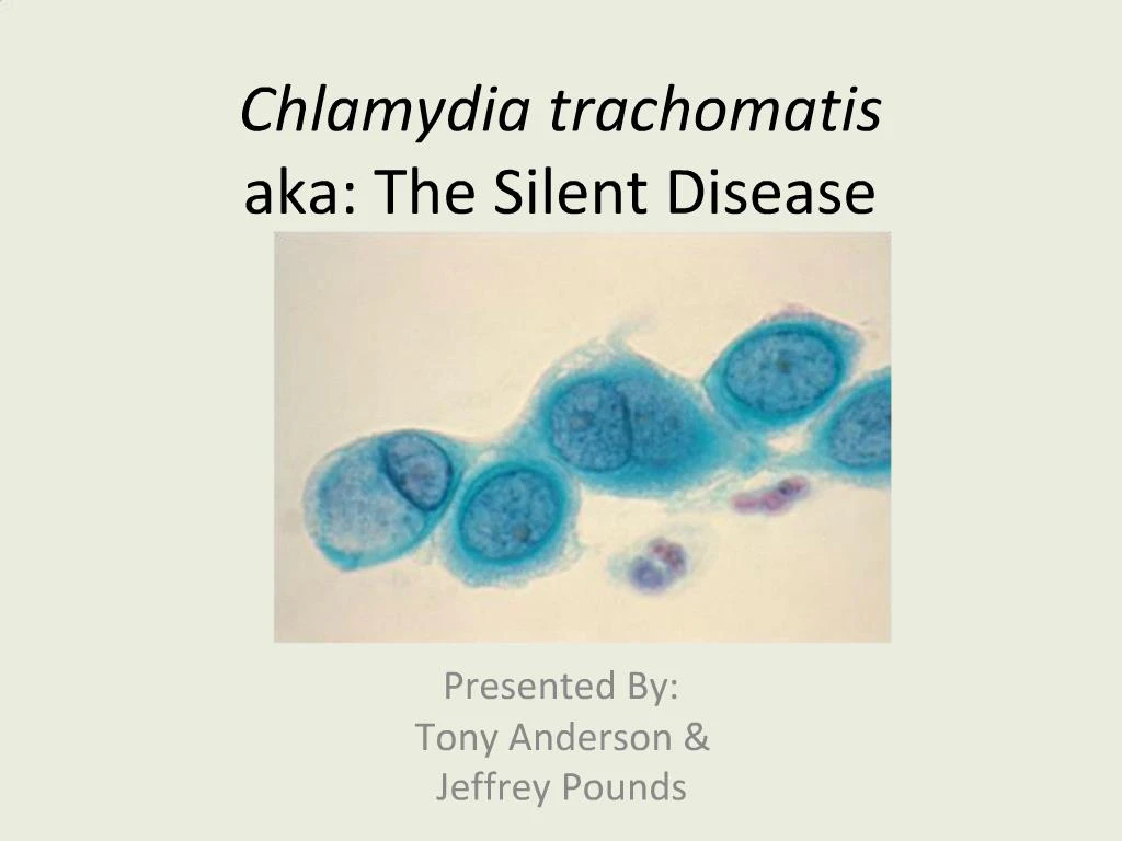 Ppt Chlamydia Trachomatis Aka The Silent Disease Powerpoint Presentation Id259821 5414