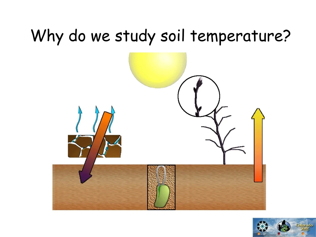 why do we study soil temperature n.
