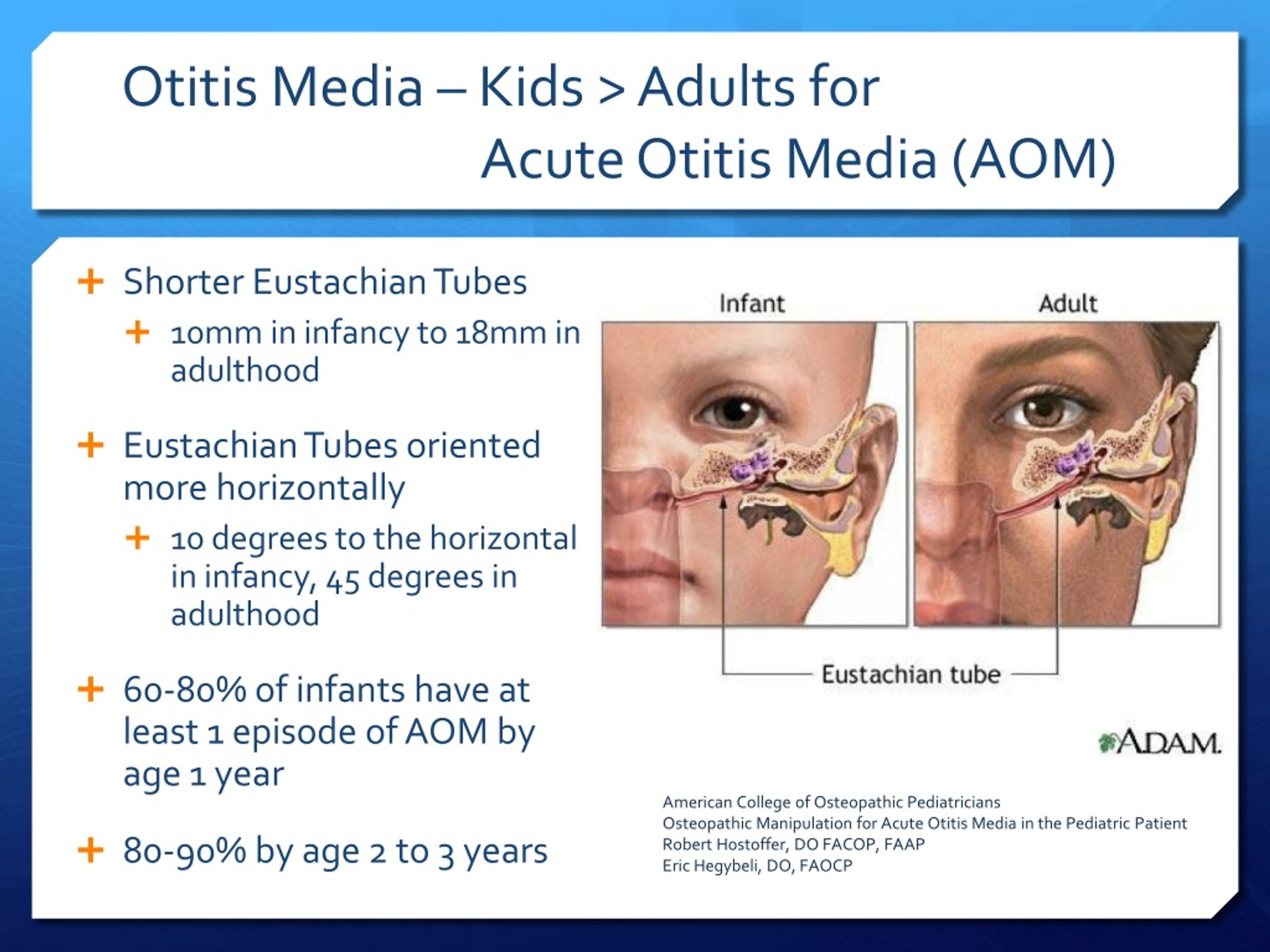 Ppt Pediatric Omt Powerpoint Presentation Free Download Id262088